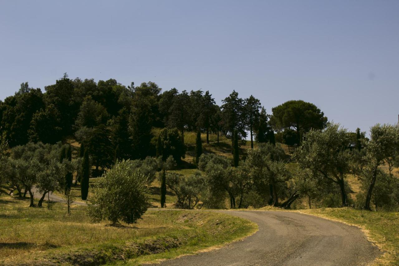 Agriturismo Aia Leccioni Micciano Extérieur photo