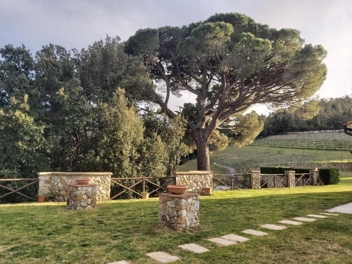 Agriturismo Aia Leccioni Micciano Extérieur photo